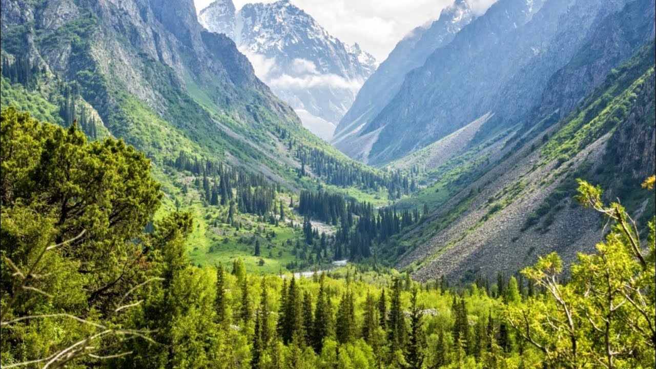 Горный пейзаж в национальном парке Ала-Арча близ Бишкека