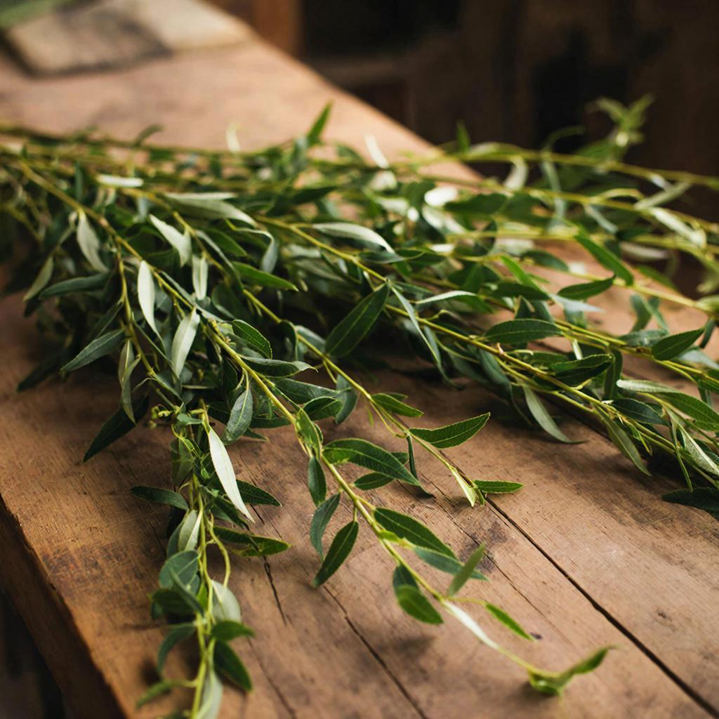 Срезанные ветки лозинки на деревянном верстаке
